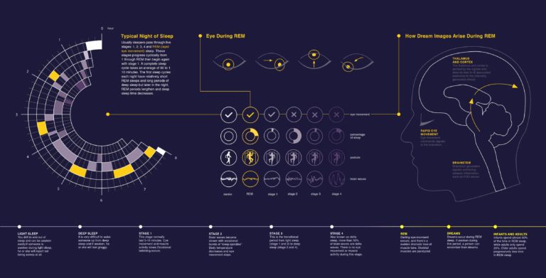 sleep-stages-we-talk-sleep